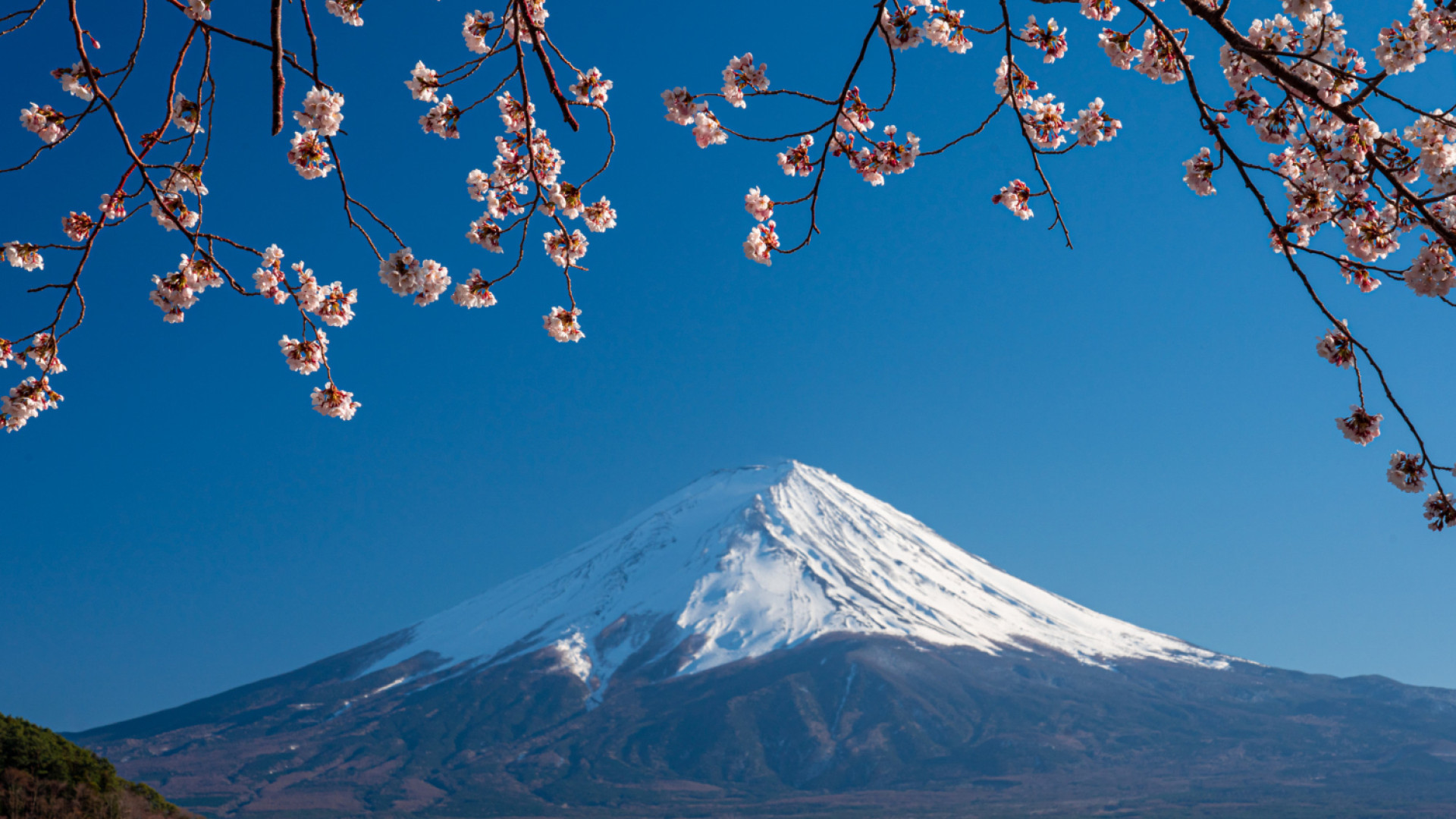 Ascension du Mont Fuji : comment bien se préparer à la randonnée ?